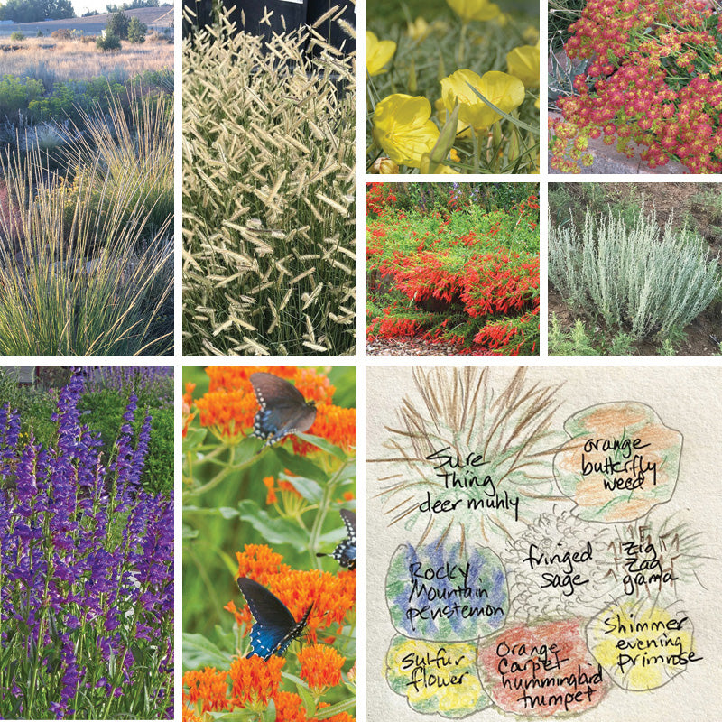Rocky Mountain Native Pre-Planned Pocket Garden
