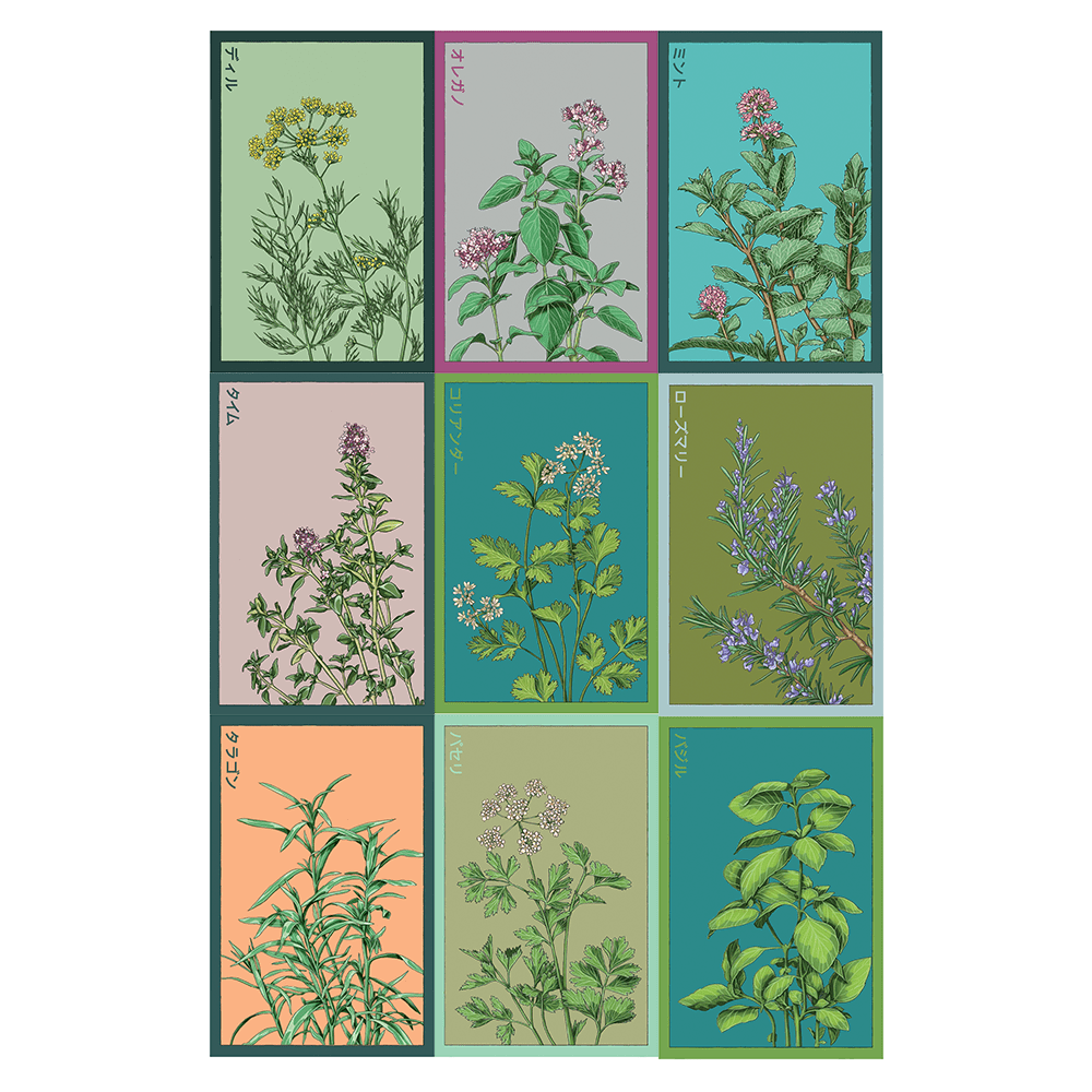 Herbs Seed Bundle 12pc - Shido Seeds non-GMO vacuum-sealed woodblock design