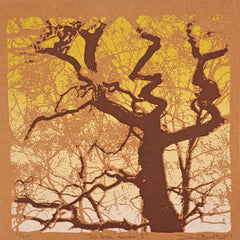 Trees