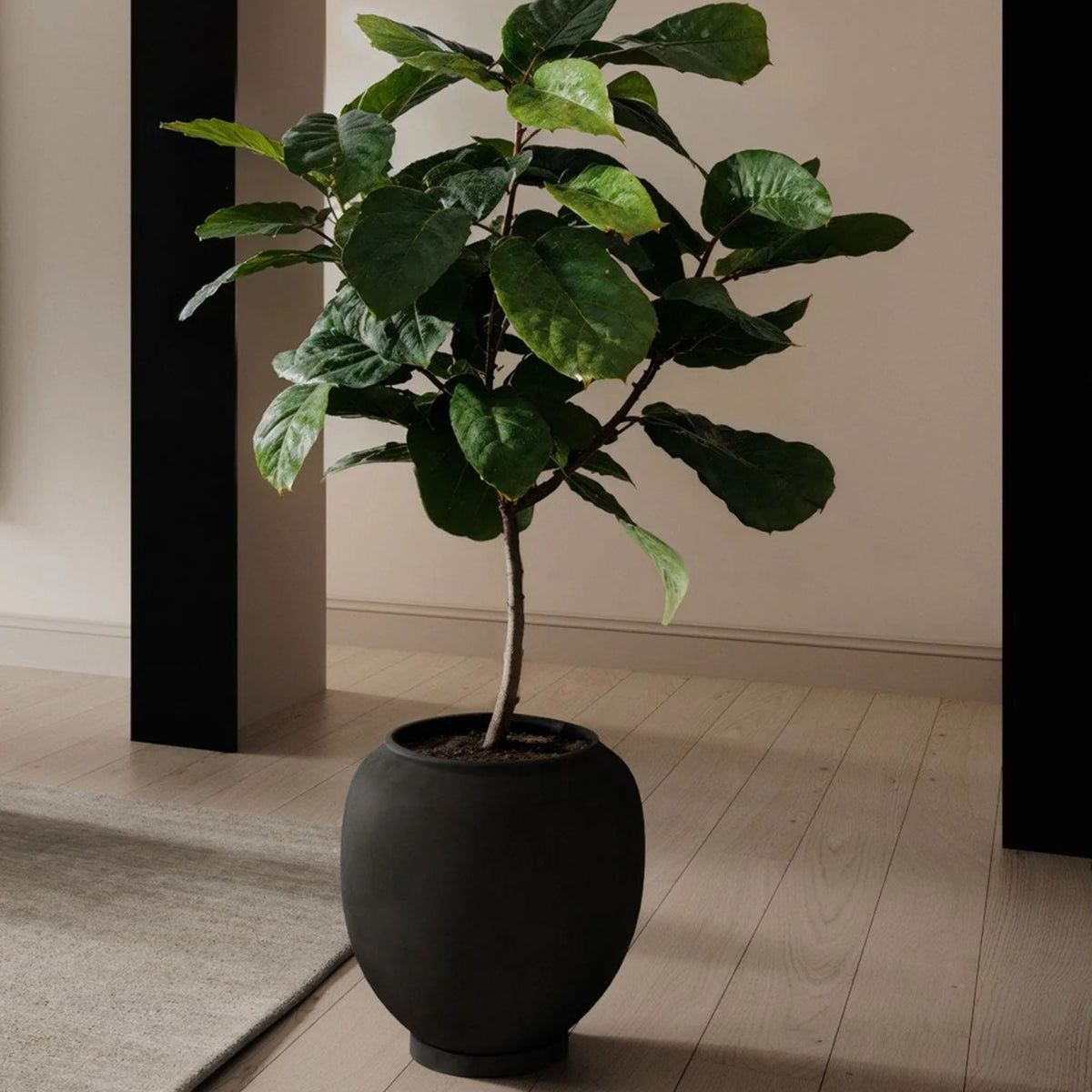 Sunao Plant Pot - Big