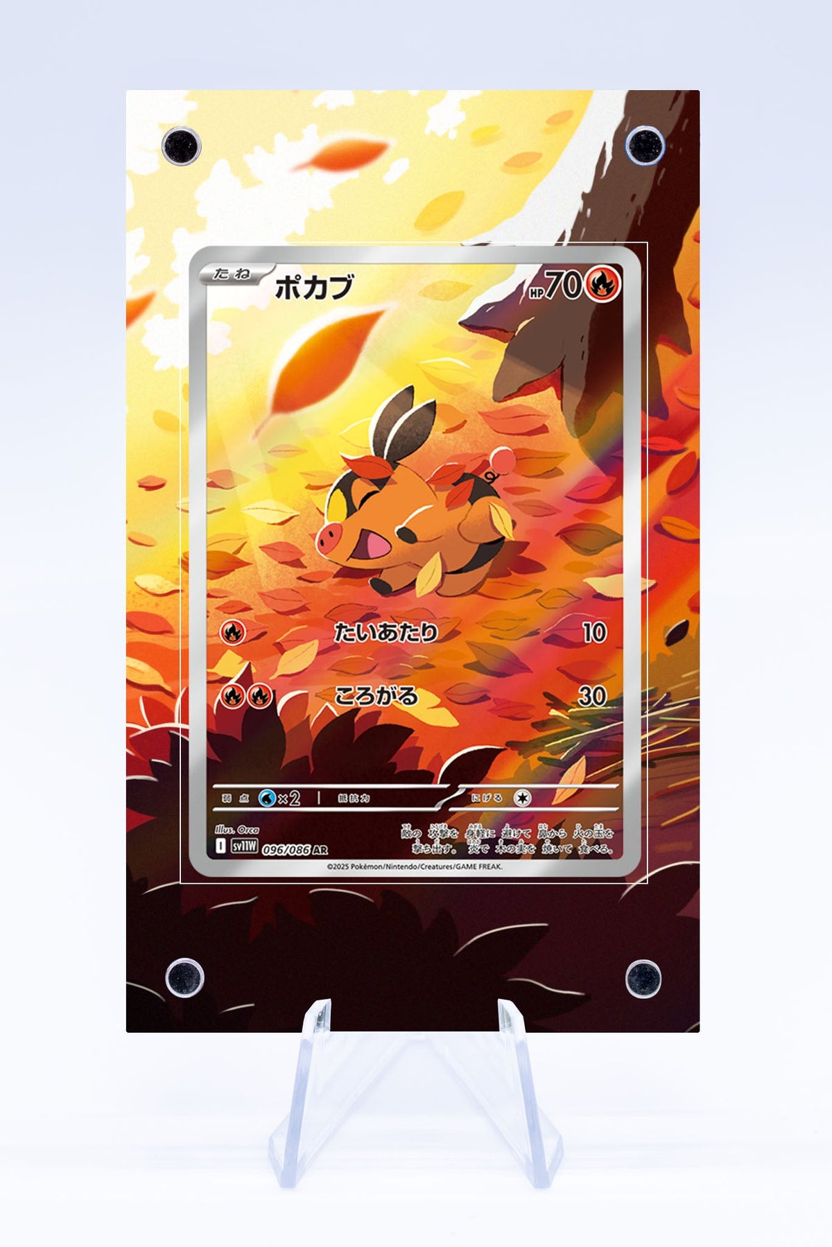 Tepig IR Case | Art Guard (Ungraded)