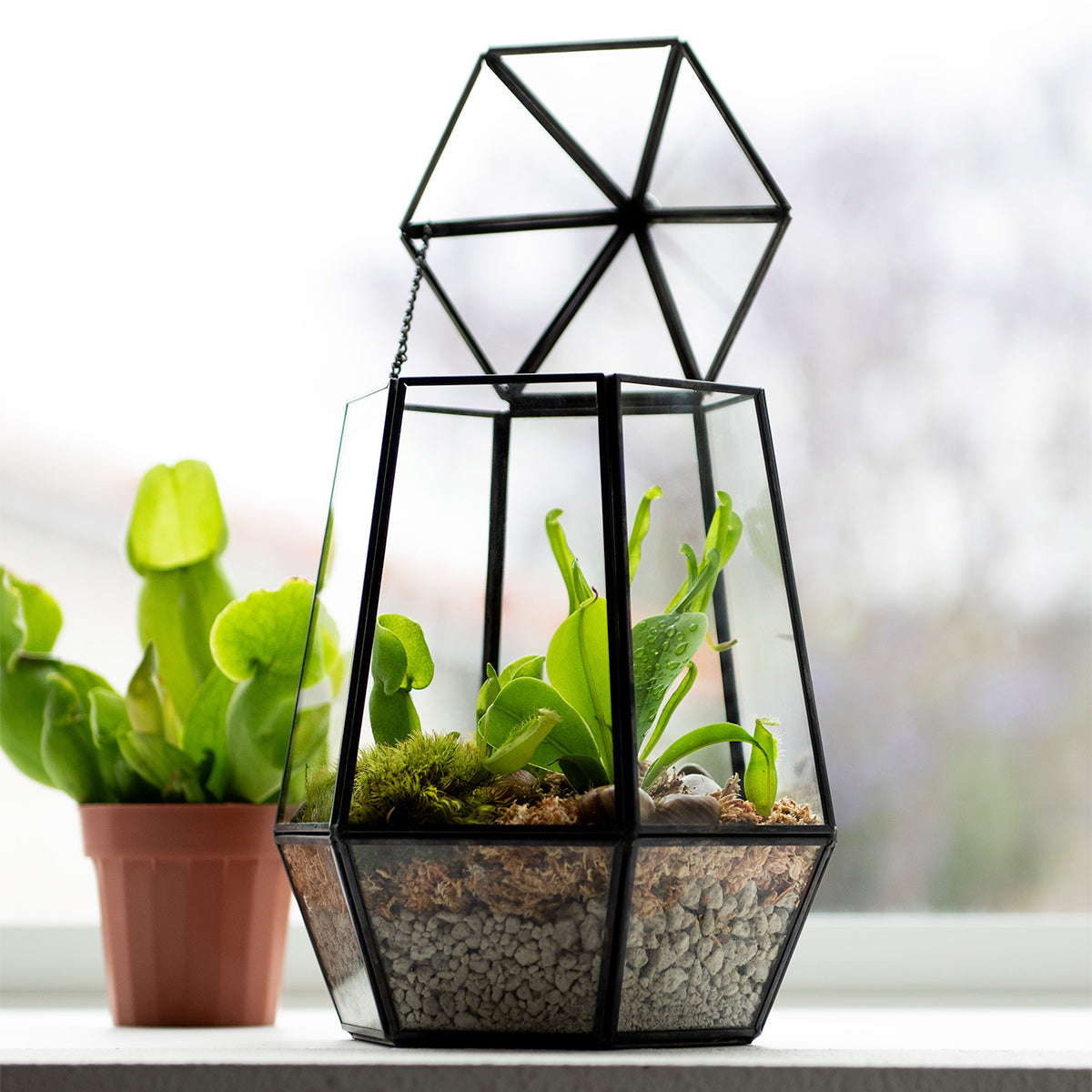 SuperMoss Faceted Glass Atrium
