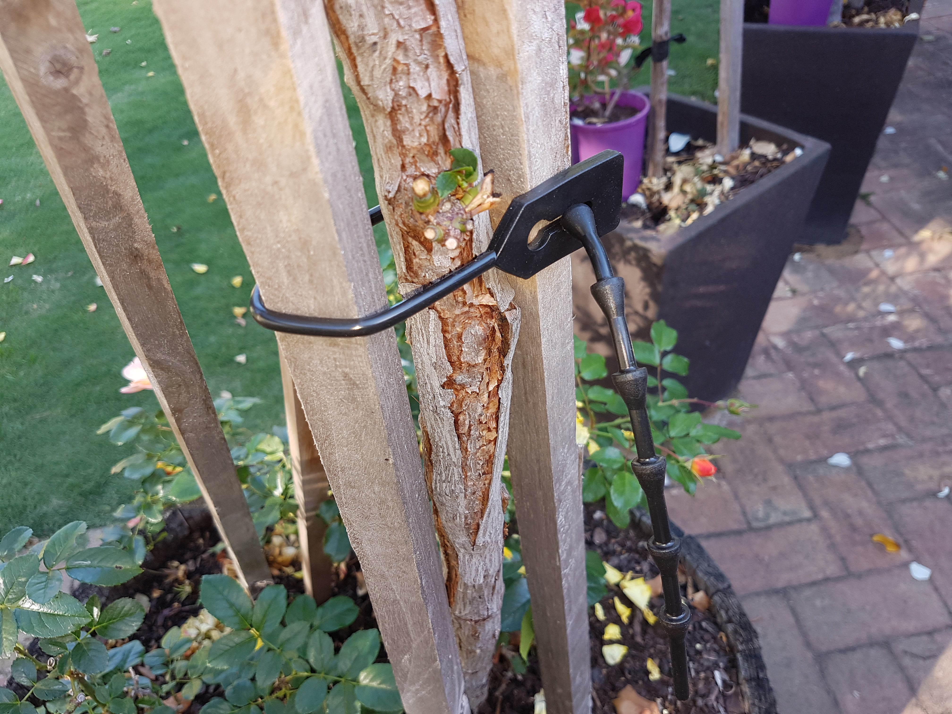 Tree ties - Growinbag By GrowInnovate