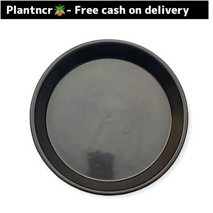 6 inch black plastic plate