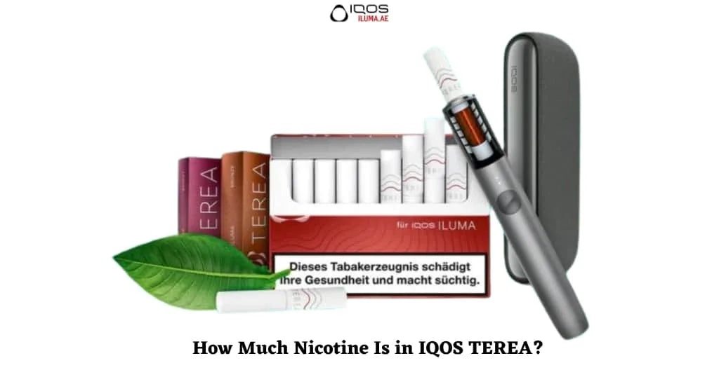 Unveiling the Truth: How Much Nicotine Is in IQOS TEREA?