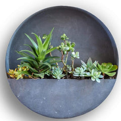 Wall Planters- Circle & Semi Circle Zinc Planters