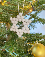 Weißer Weihnachtsstern