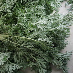Wormwood: Absinthium