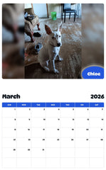 November 2025 - October 2026 Chloe - Pawidols Pet Calendar