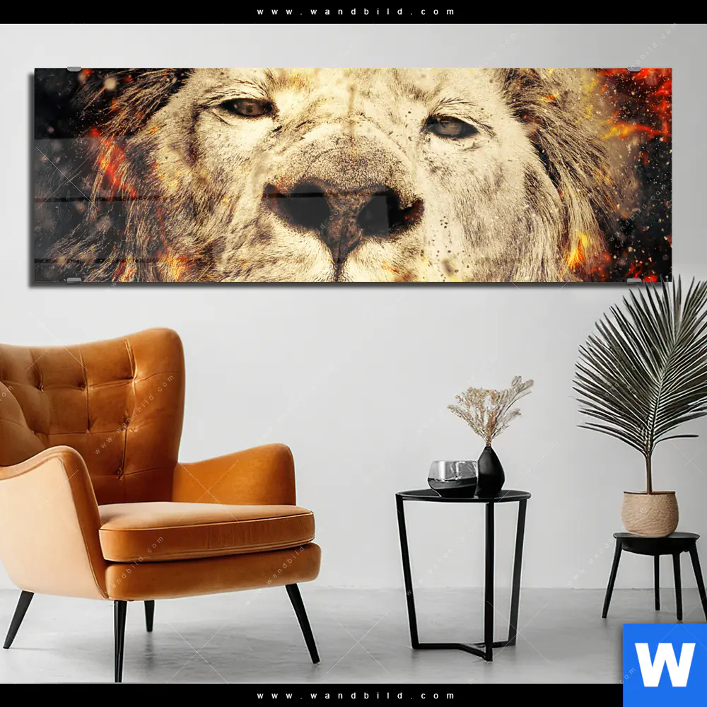 Acrylglasbild Feuer Loewe Panorama Produktvorschau