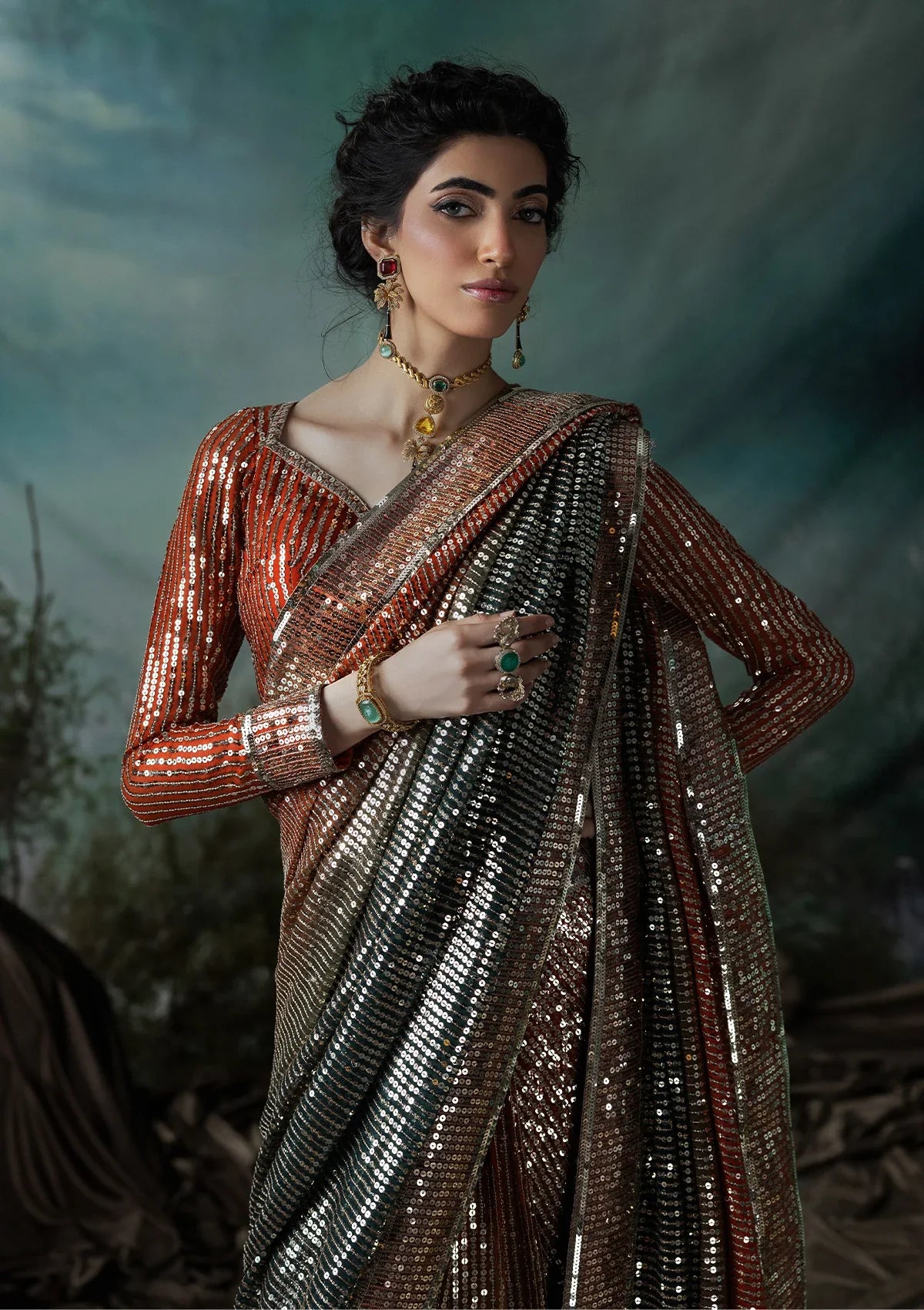 Elegant chiffon saree with printed and embroidered fall and pallu, paired with an embroidered chiffon blouse featuring organza neckline, borders, and a silk petticoat.