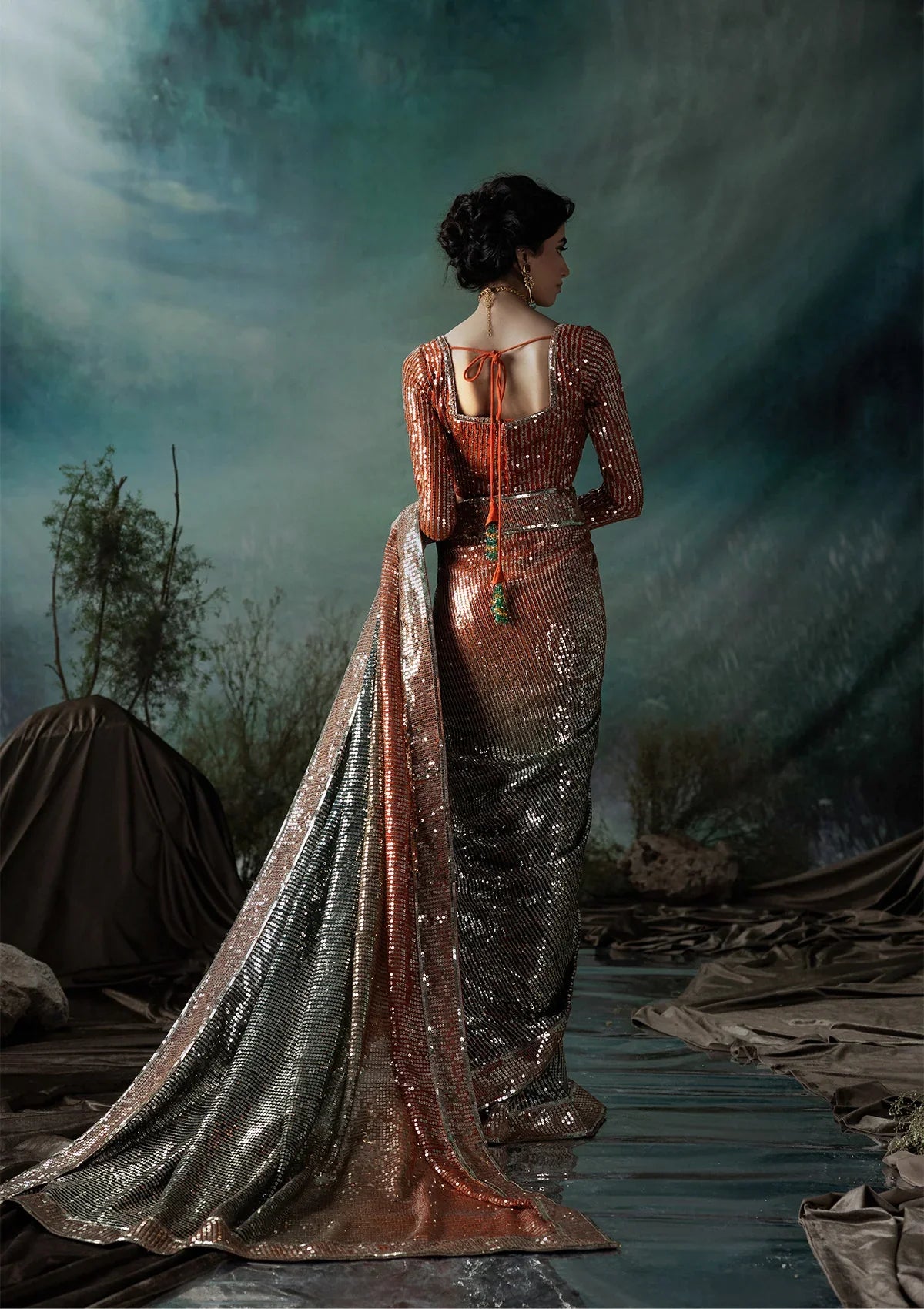Elegant chiffon saree with printed and embroidered fall and pallu, paired with an embroidered chiffon blouse featuring organza neckline, borders, and a silk petticoat.