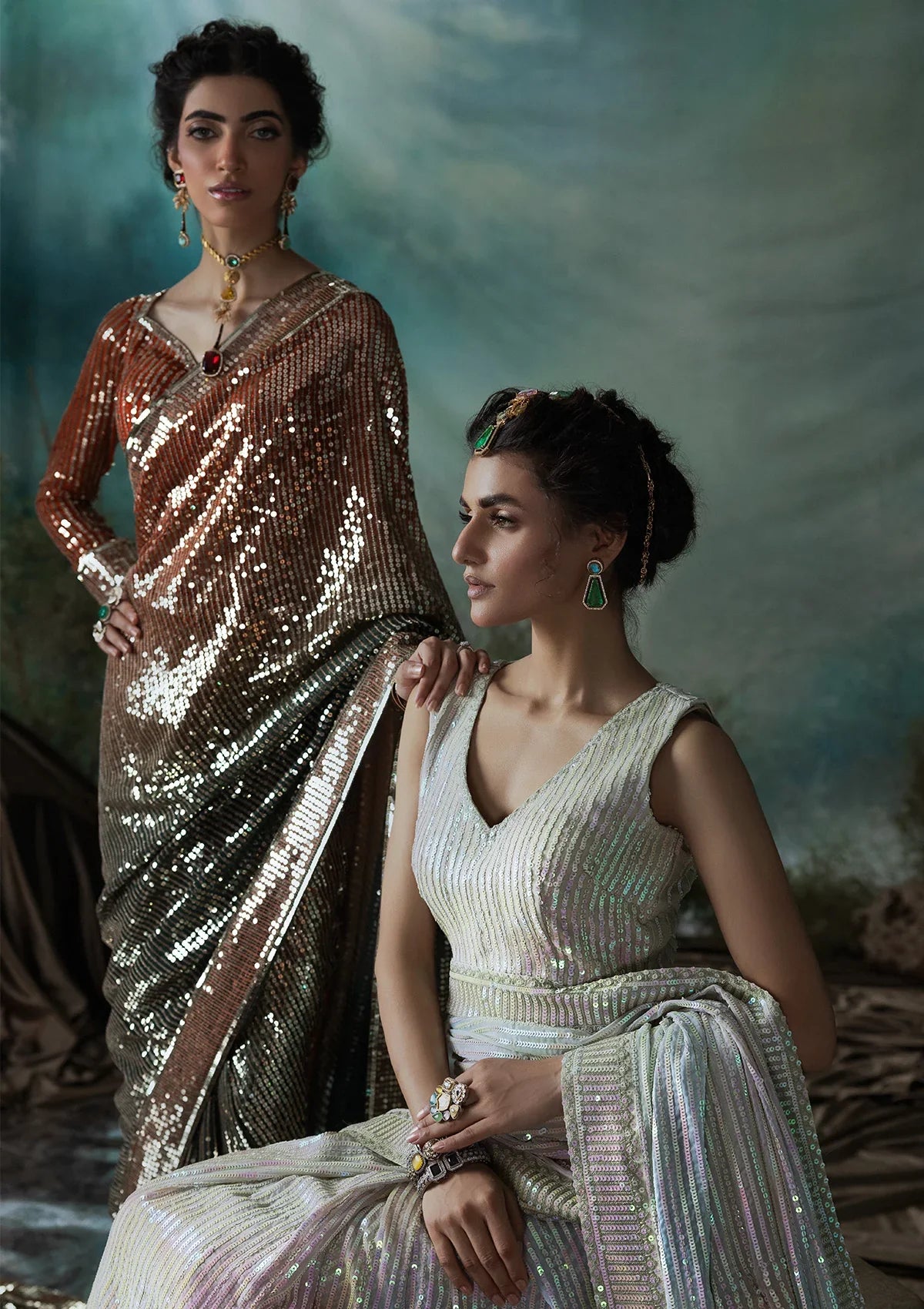 Elegant chiffon saree with printed and embroidered fall and pallu, paired with an embroidered chiffon blouse featuring organza neckline, borders, and a silk petticoat.