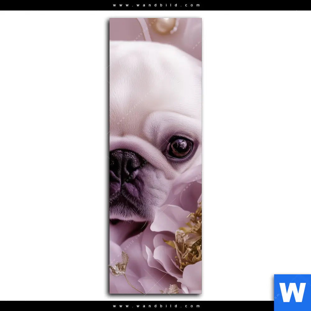 Alu Dibond Bild Mops Im Bluetenmeer Schmal Motivvorschau