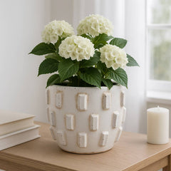 Terracotta Sculptural Hobnail Planter - White, 8 in.
