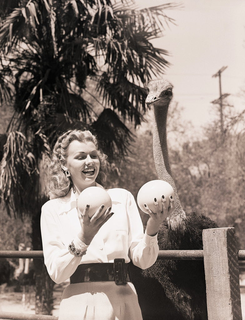 Ostrich Behind Woman Holding Its Eggs