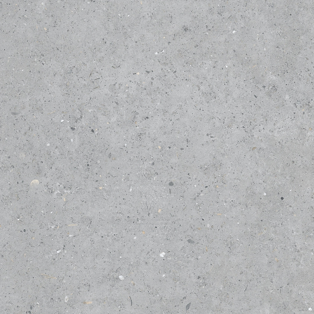 Pastorelli Ceramiche, Biophilic - P009496J - Bi Grey, Naturale, 60x60cm, 8.50mm, Rett.