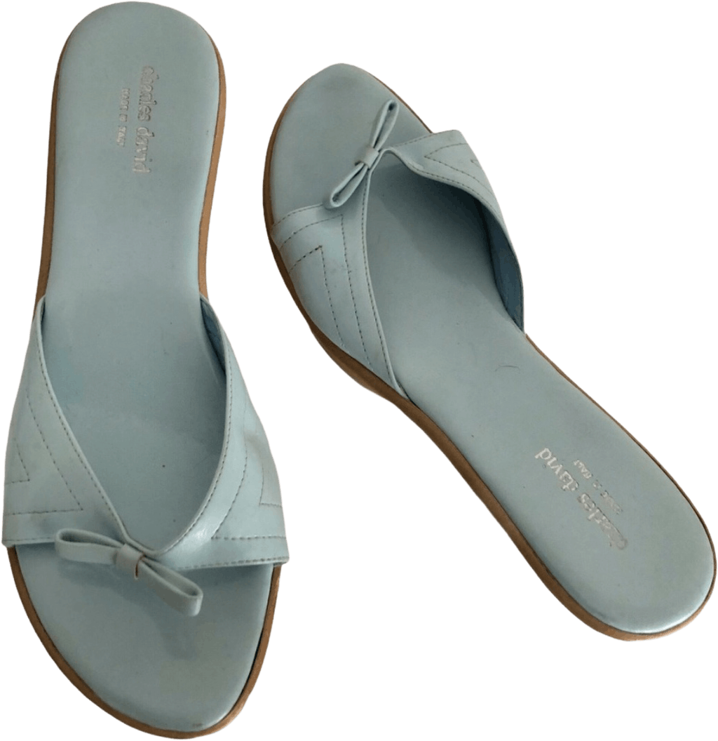 Blue Sandals Wedge 40 by Charles David