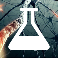 2,4,5-TRICHLOROPHENOXYACETIC ACID, POTASSIUM SALT