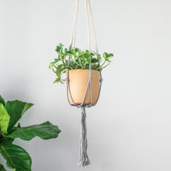 Dip-dyed ombre macrame plant hanger in natural to gray gradient with hanging plant