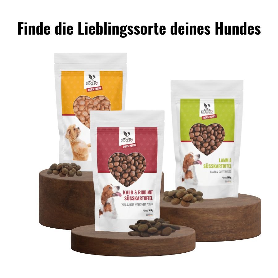 DOGS - HEART Testpaket: Futterproben zum Ausprobieren | 500g je Sorte - DOGS - HEART