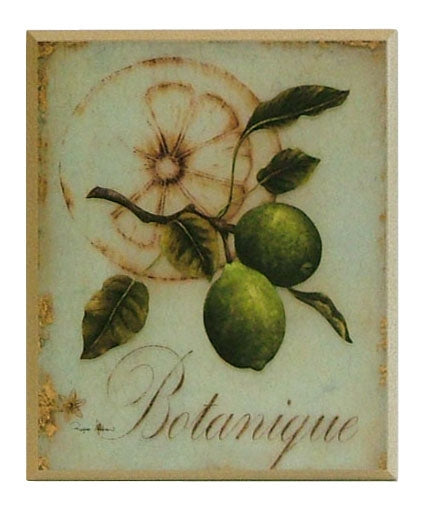 Obraz Motywy botaniczne, limonki na płycie 26x31 cm - ErgoPaul