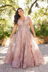 Plus Size Dresses Long Plus Size Formal A Line Evening Dress Dusty Rose