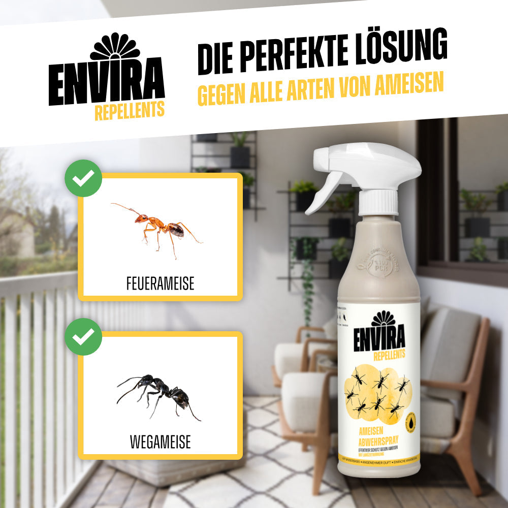 Envira Ameisen Abwehrspray mit Drucksprüher, Ameisenbilder, Häkchen-Symbole, Pflanzen, Balkon, Geländer, Stühle im Hintergrund.