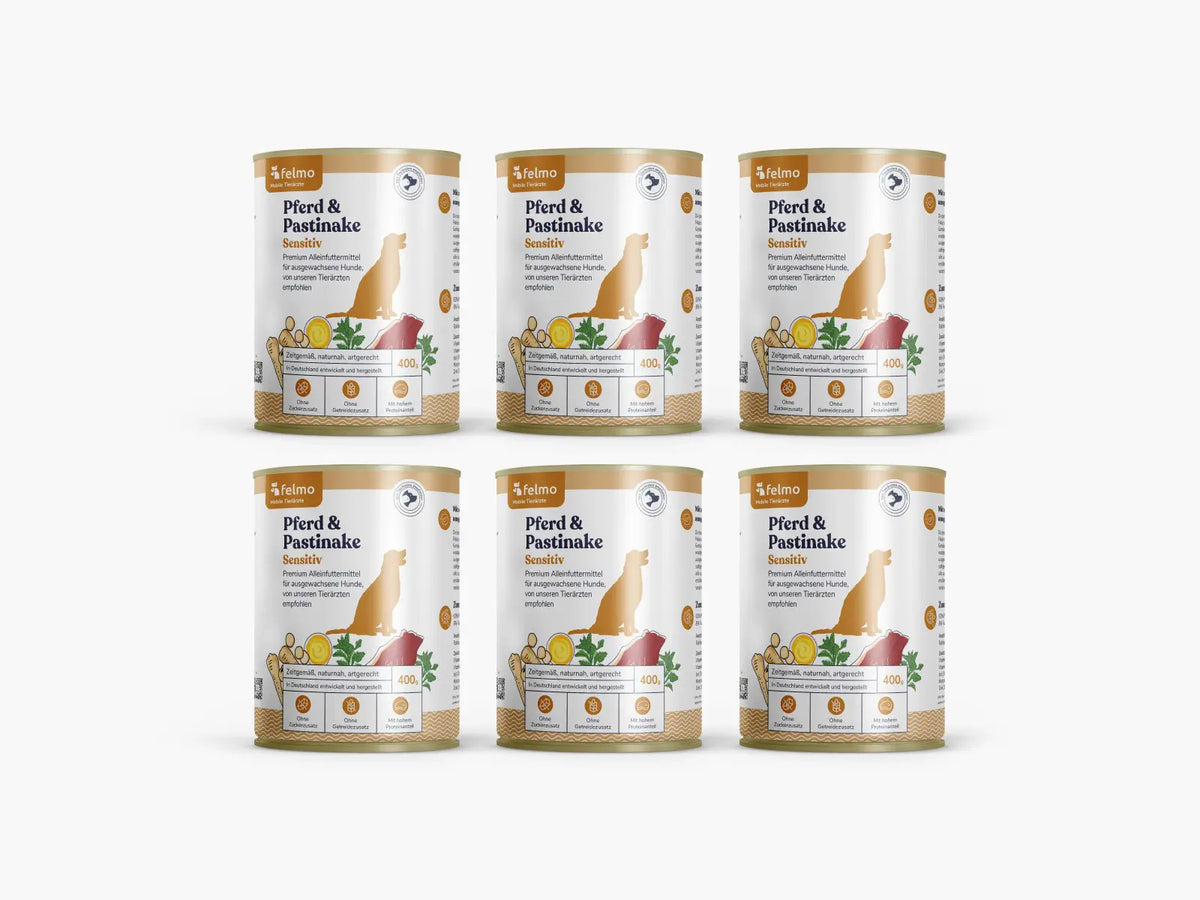 felmo 6 x Nassfutter mit Pferd & Pastinake Sensitiv für Hunde, Vorderansicht der Verpackung