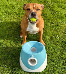 Funzie™ – Automatisk bollkastare för hund - GodHund