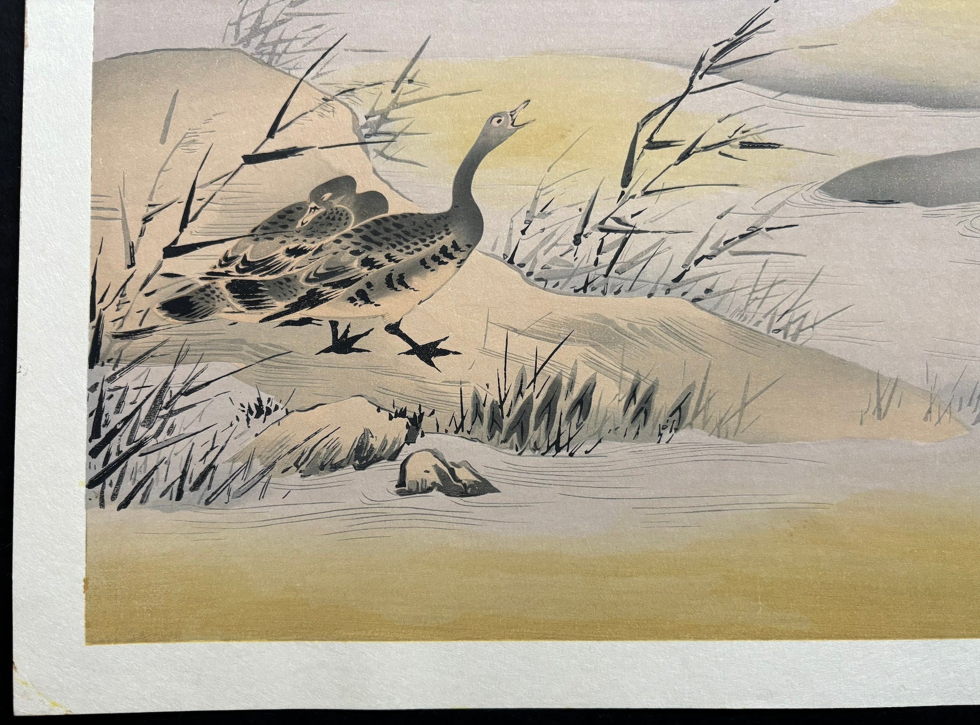  - Kacho - zu Fusuma - e (Birds and Flowers) - Eitoku Kano - SAKURA FINE ART