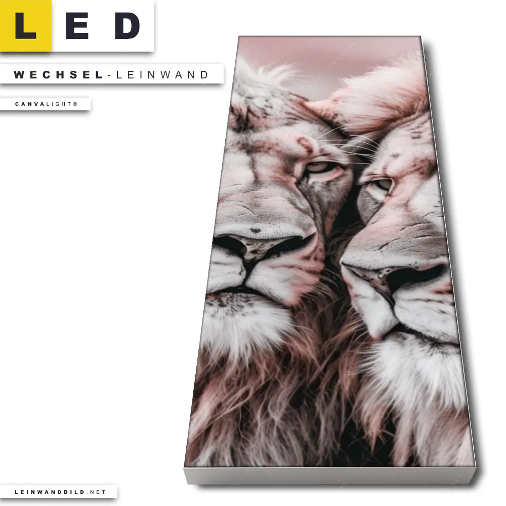 Led Wechsel Leinwand Loewen Harmonie In Pastell Schmal Produktvorschau