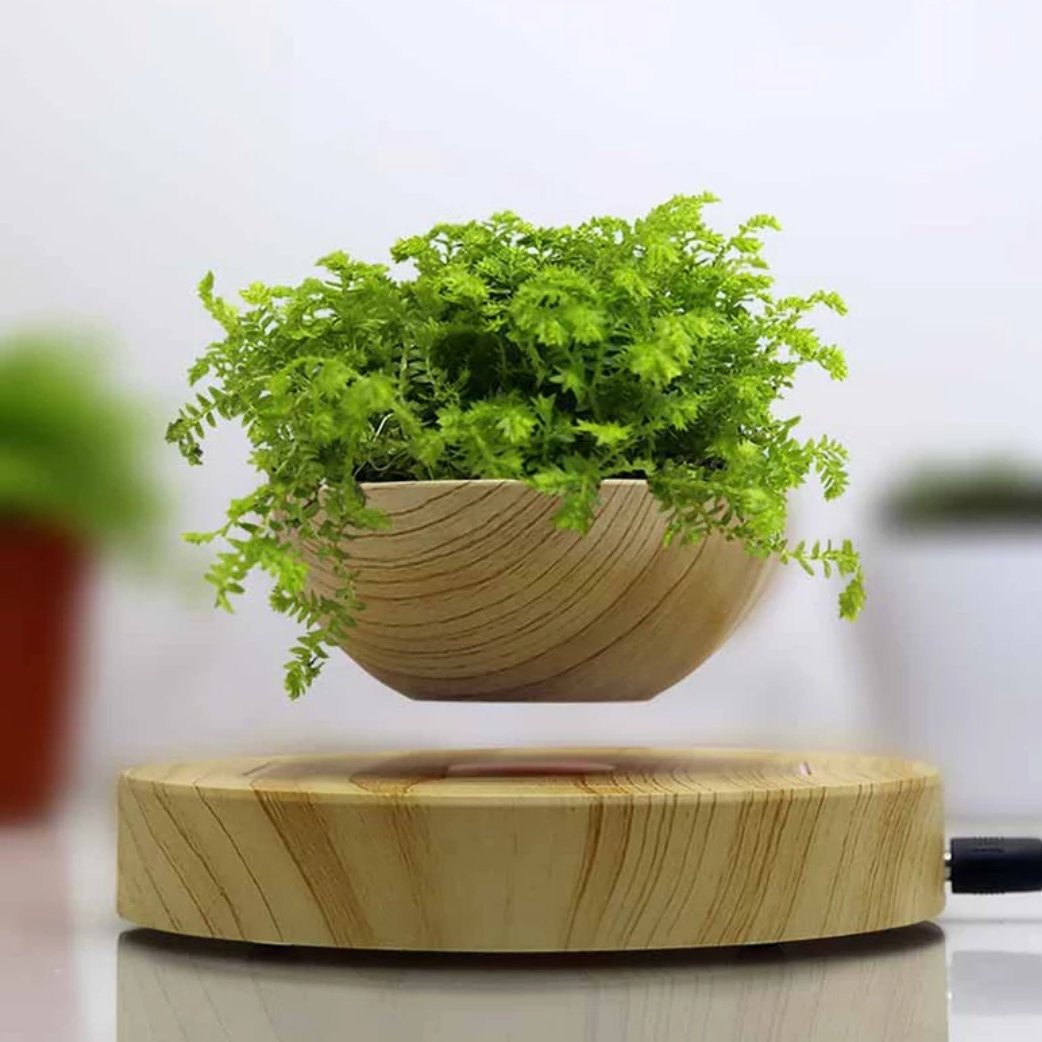 levitating plant pot