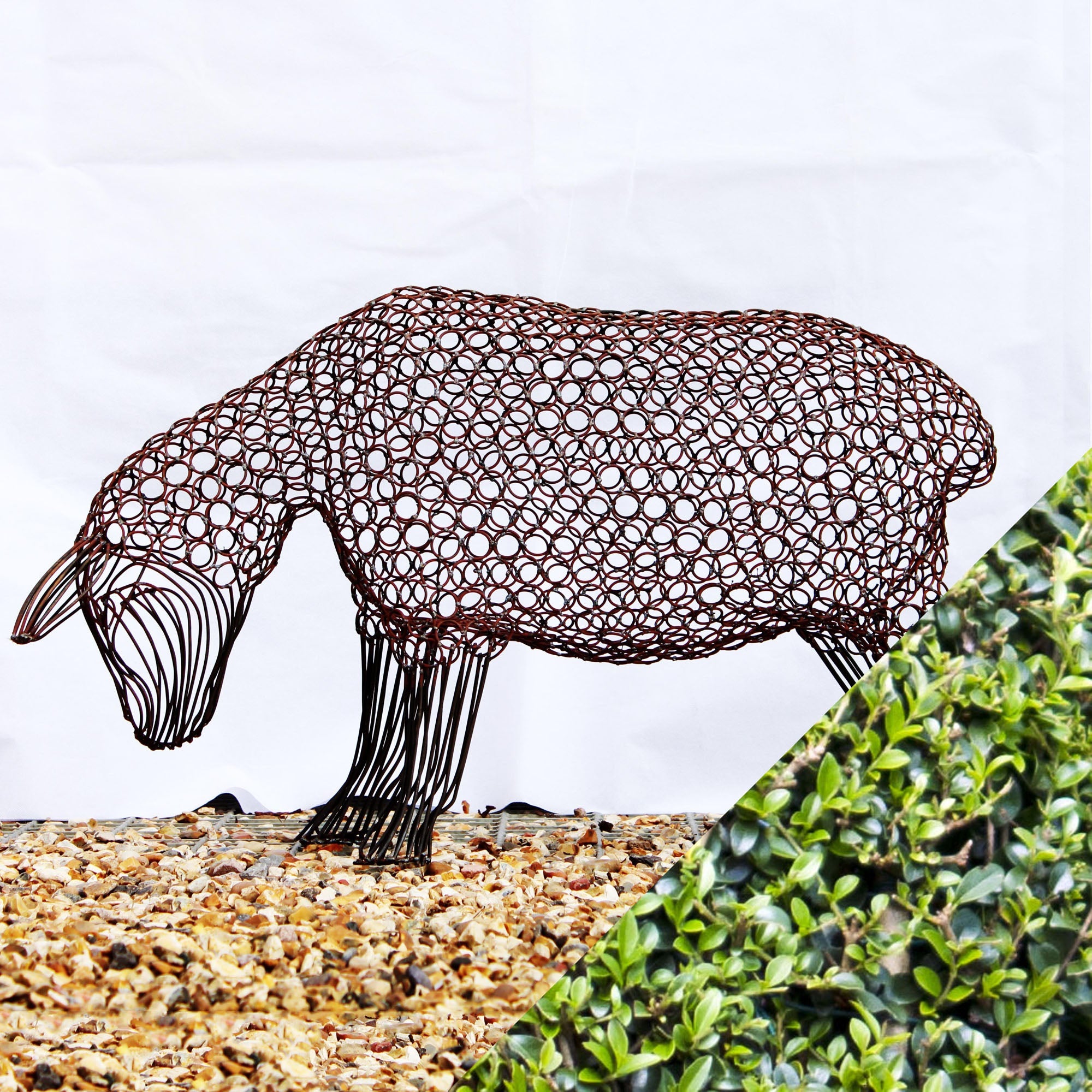 Ligustrum version of Ewe Sculpture (Head Down) - 60cm tall