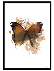 Orange Butterfly