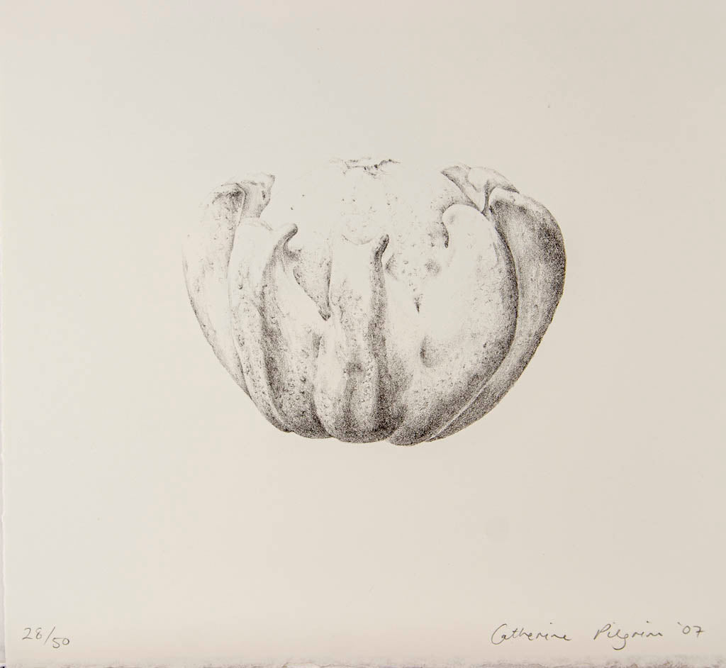 Catherine Pilgrim 'Untitled'