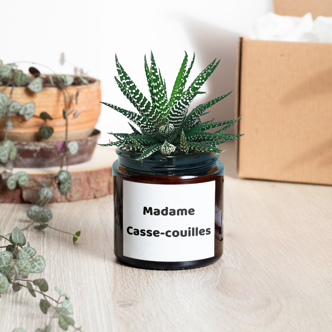 Pot de fleur blanc personnalisé message Madame casse-couilles.