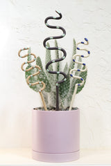 Three snake shaped plant stakes sticking out of a lavender pot with a cactus. There's a large black snake with green dots in the middle, and the medium sized snakes to each side. Tan with green spots snake to the left and a white snake with blue dots to the right. The stakes add a unique touch to any indoor or outdoor plant and also provides support.