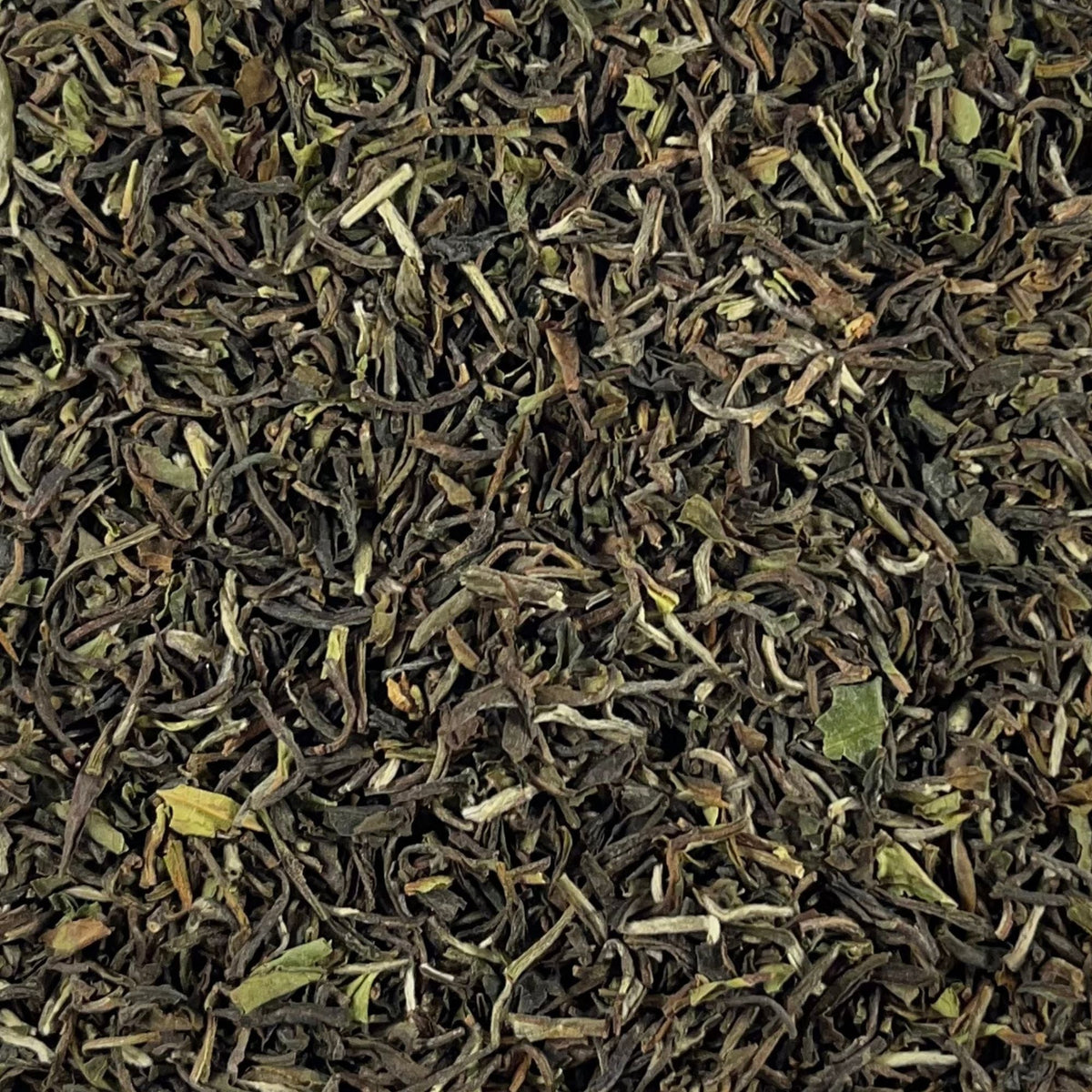 Sort, Darjeeling First Flush naturnær