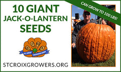 label for packet with giant jack o lantern image