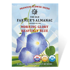Morning glory seed packet from The Old Farmer's Almanac with blue flowers on a white background
